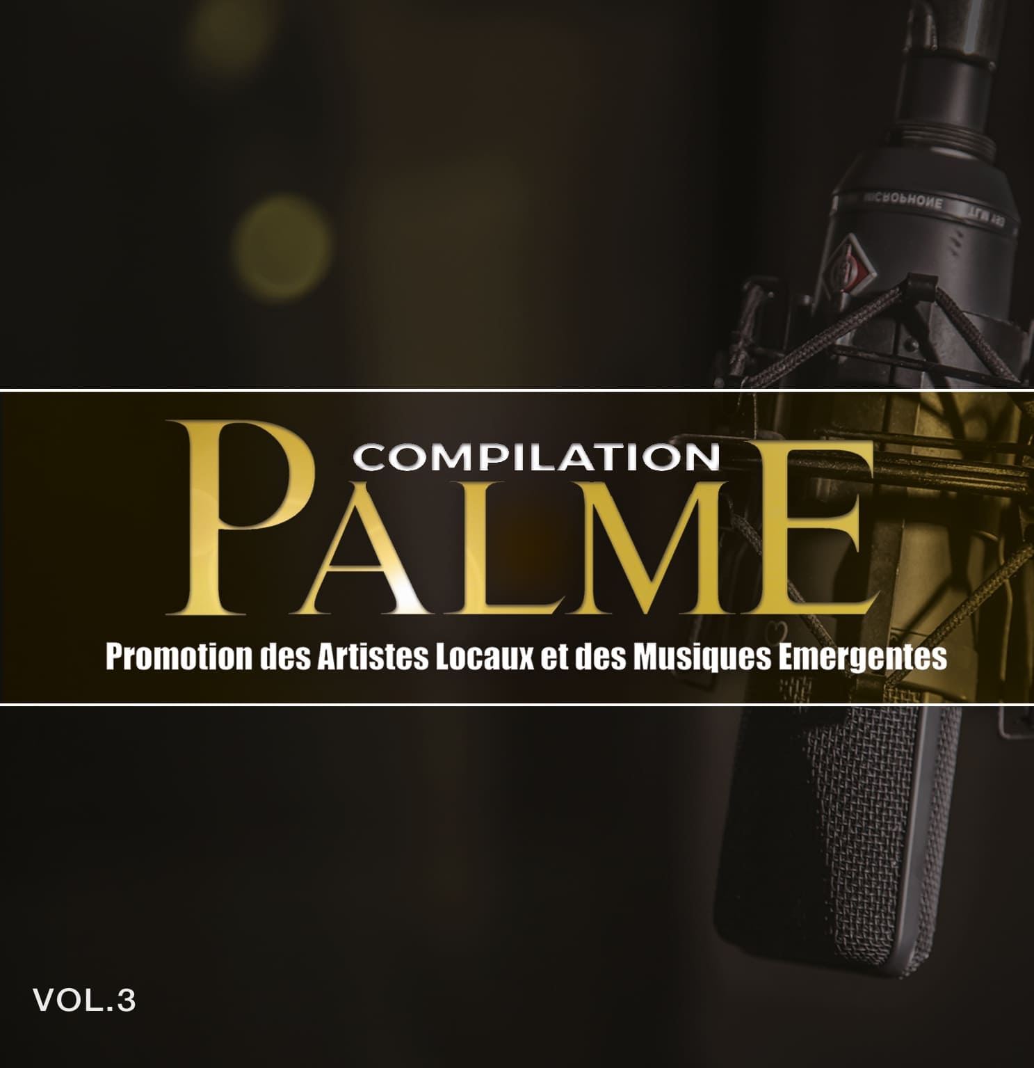 Palme 3 est en ligne !